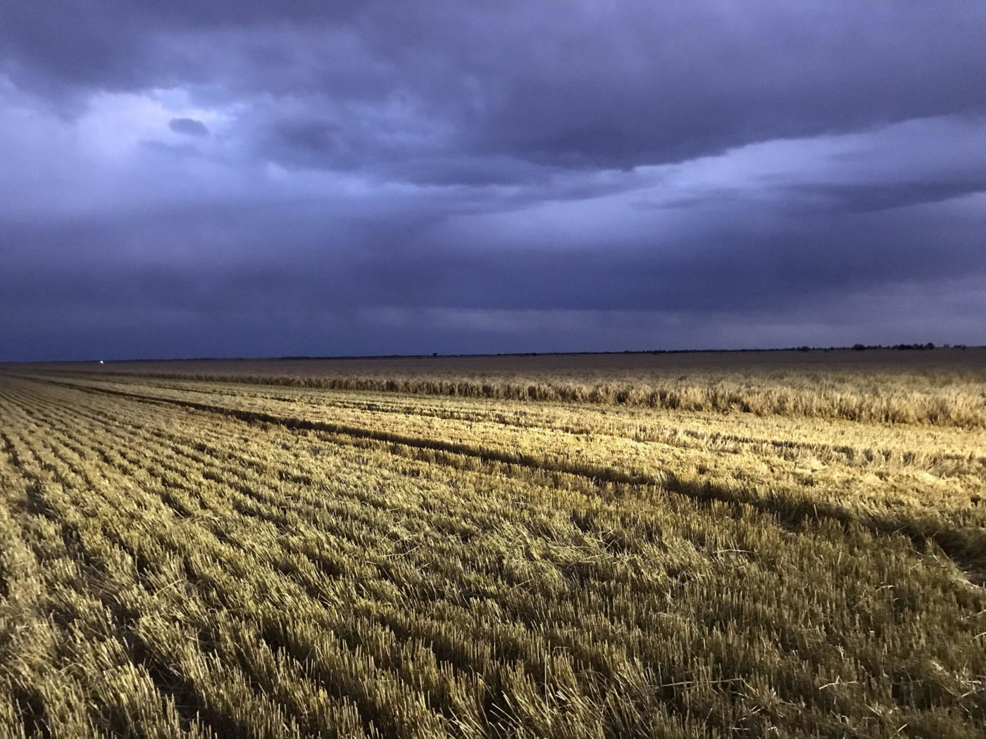 Gallery Hermiston Ag Enterprises